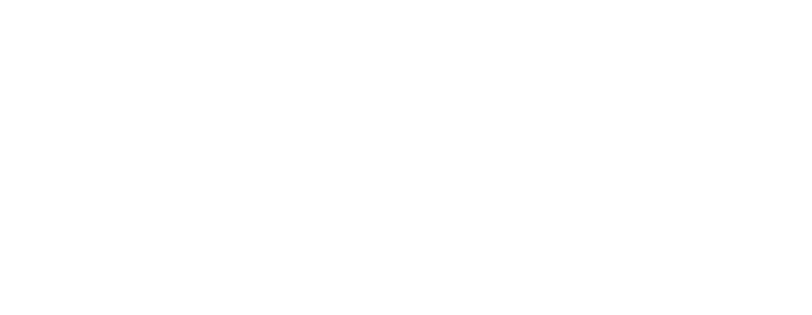 lexi-logo-bianco.png